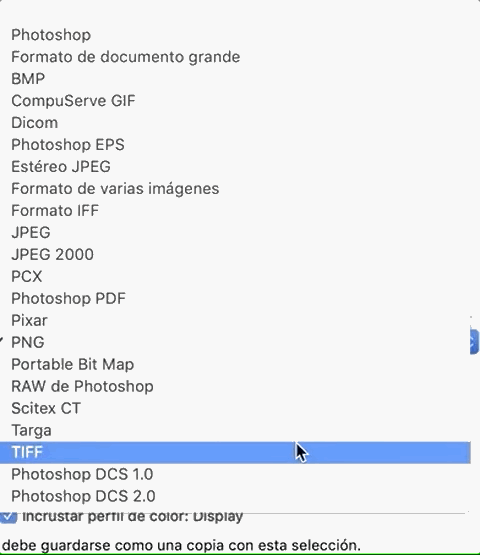 Adobe acepta una gran cantidad de formatos de archivo, JPG, GIF, PNG, PSD, BMP.